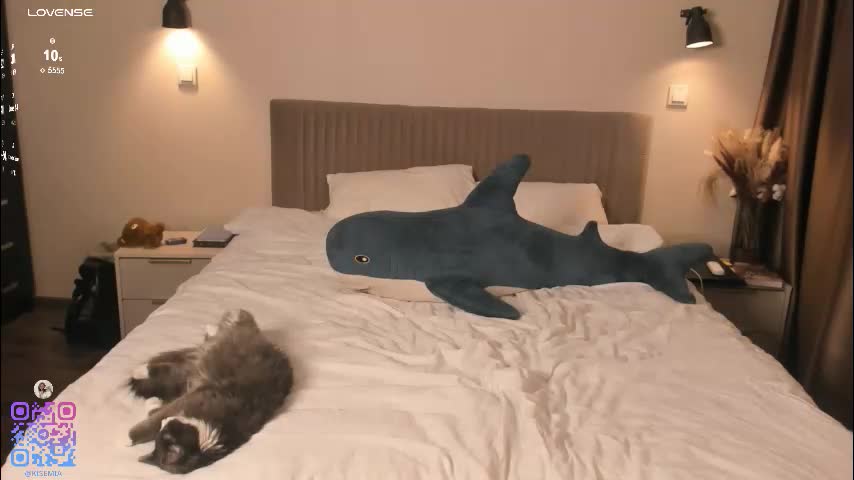 silkencrave Adult Chat November 24, 2025