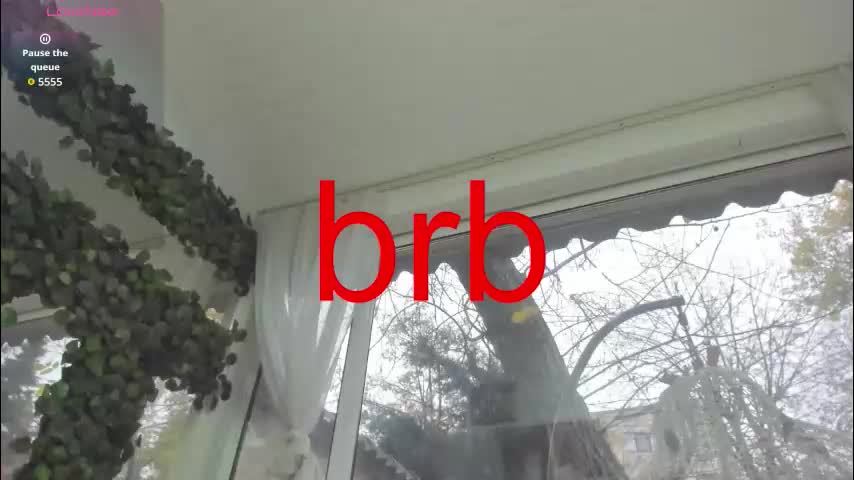 lexi_storm Adult Chat November 24, 2025