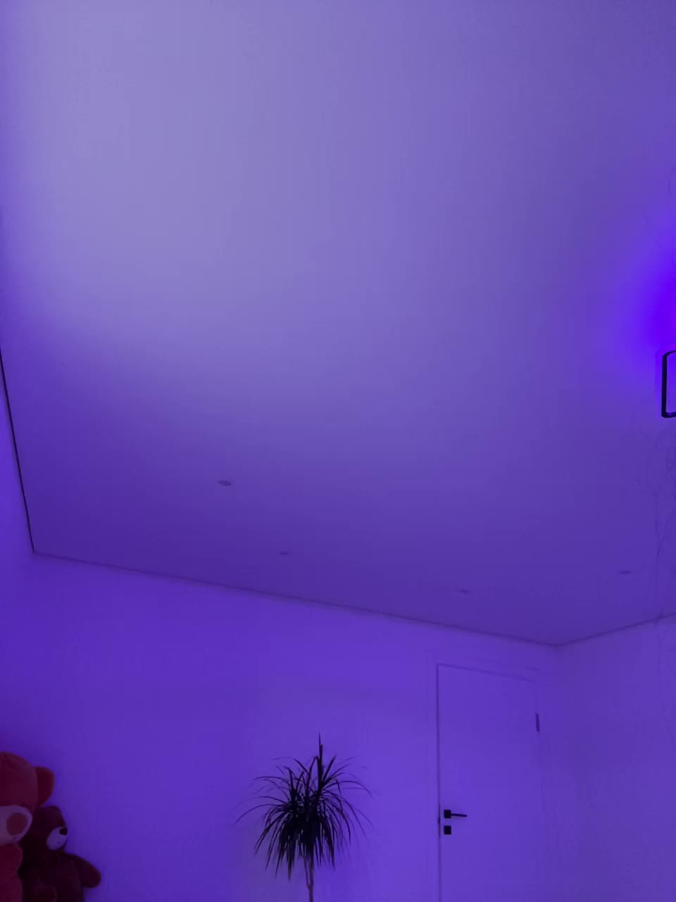 Potifays Adult Chat November 24, 2025