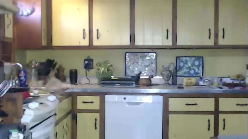 catalystic Adult Chat November 24, 2025