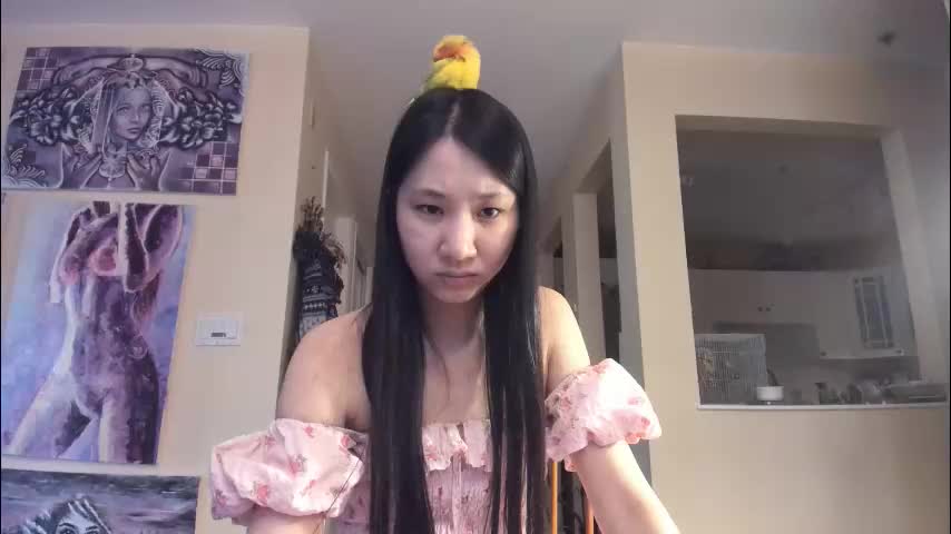 alizezaide Adult Chat November 24, 2025