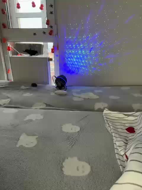 SSaibaliii Adult Chat November 24, 2025