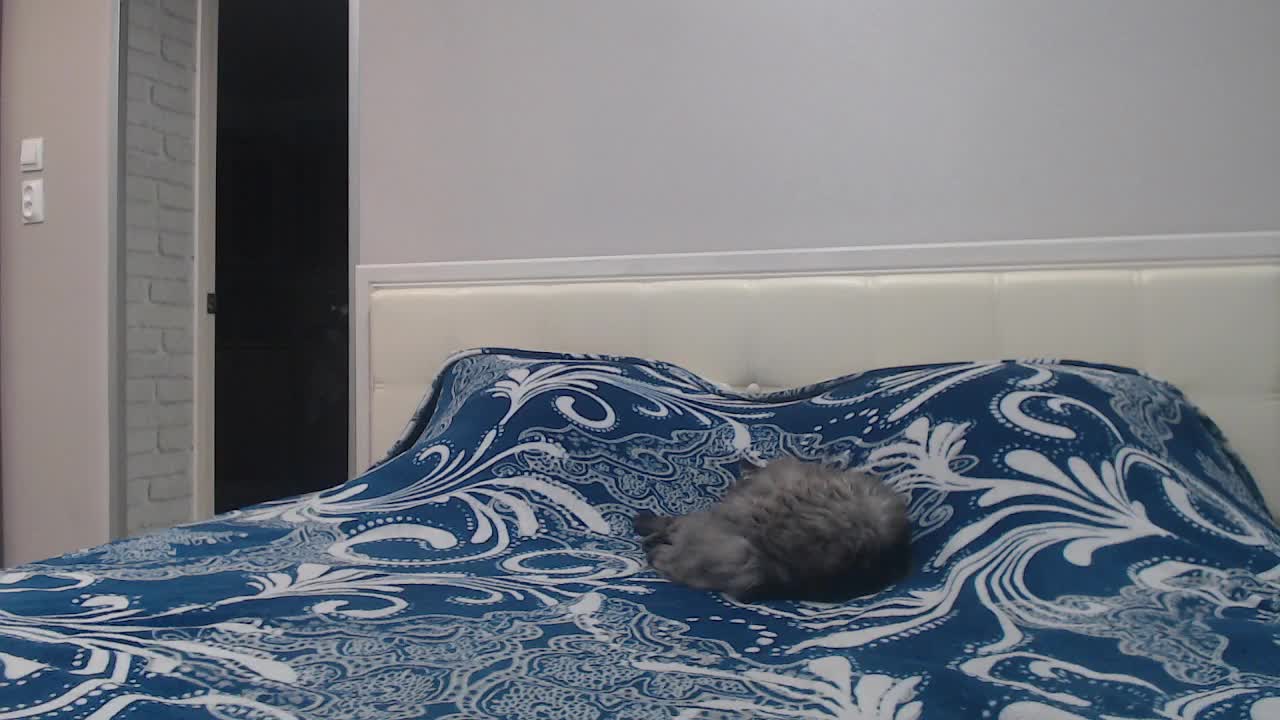 ImmortalPrincess Adult Chat November 24, 2025