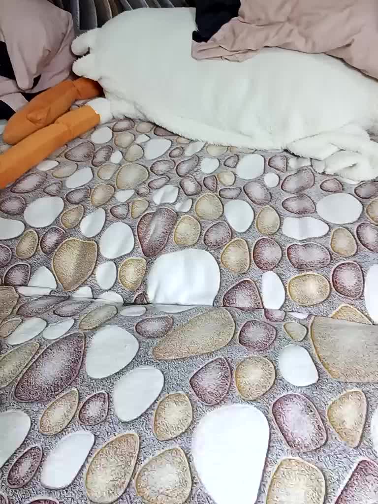 RosFair Adult Chat November 24, 2025