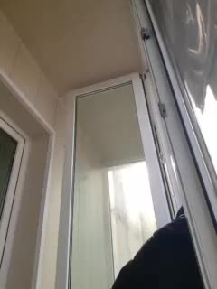 Zlykaa Adult Chat November 24, 2025