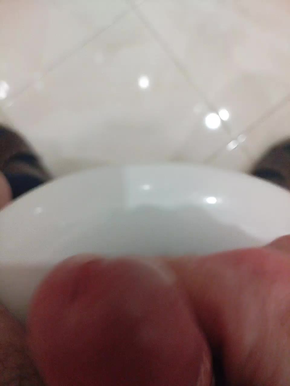 Paradise_1 Adult Chat November 24, 2025