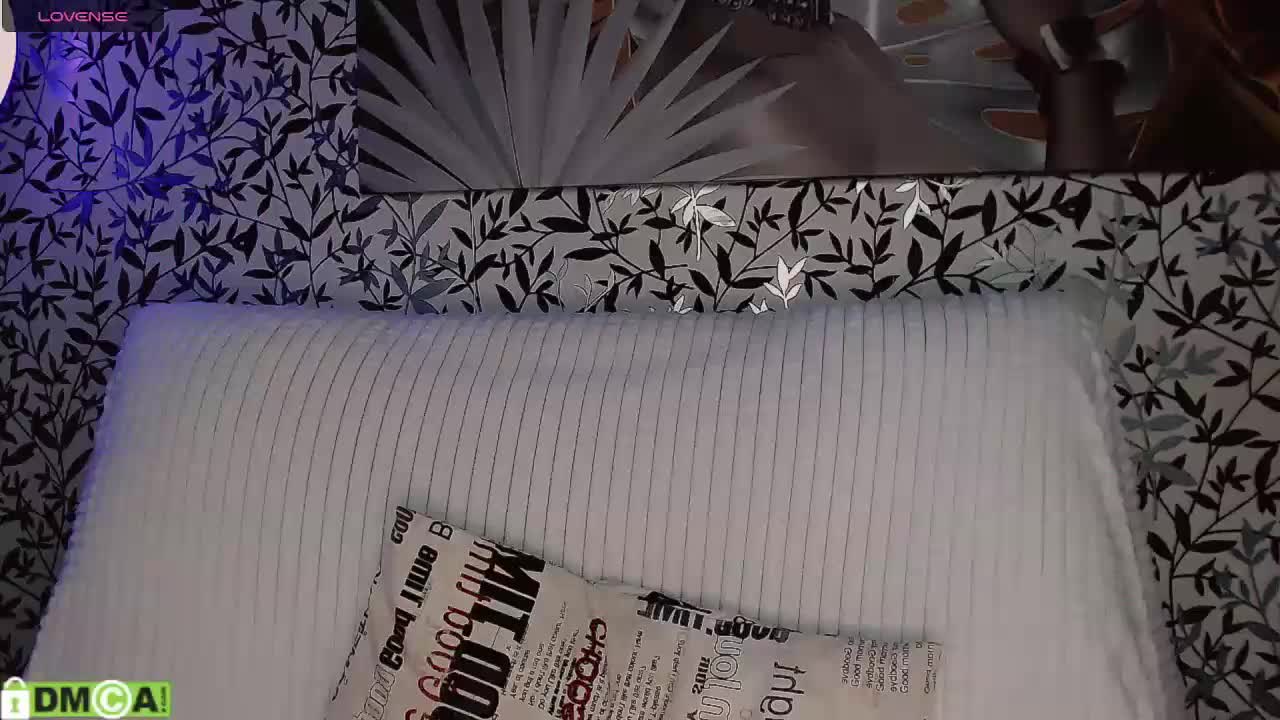 Amellea Adult Chat November 24, 2025