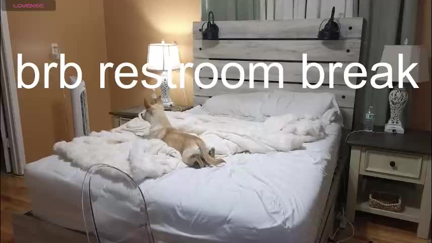 julianaxxxrose Adult Chat November 24, 2025