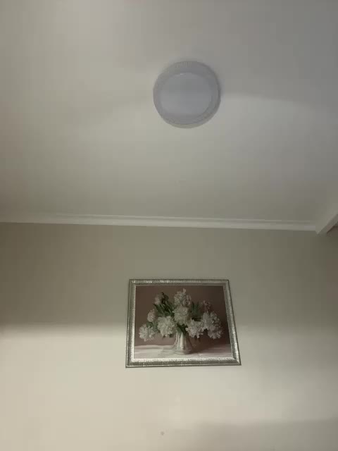 jamaykaa Adult Chat November 24, 2025