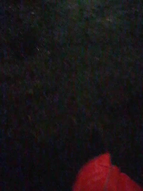 EVIL_TITS Adult Chat November 24, 2025