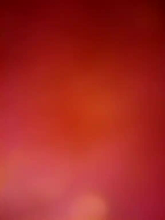 Lisenok_ Adult Chat November 25, 2025