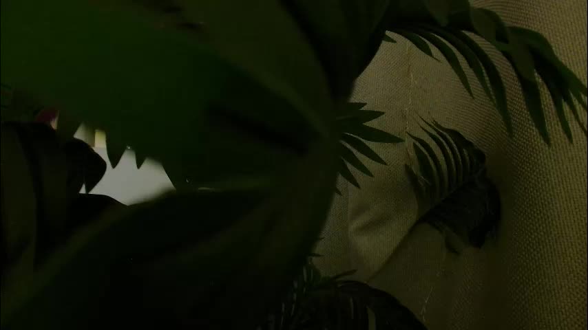 imcarrieberry Adult Chat November 25, 2025