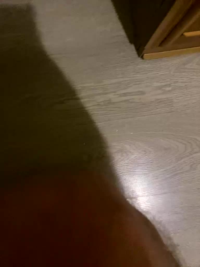 Serilk228a Adult Chat November 25, 2025