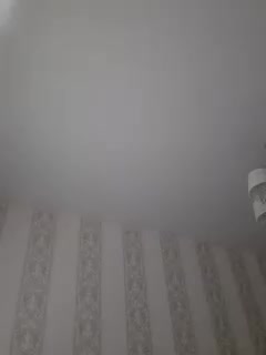 Zlykaa Adult Chat November 25, 2025