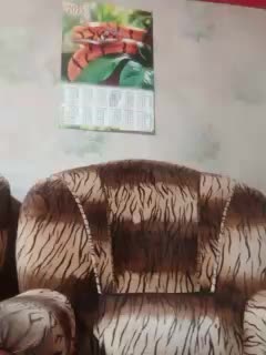 Calibriya Adult Chat November 25, 2025