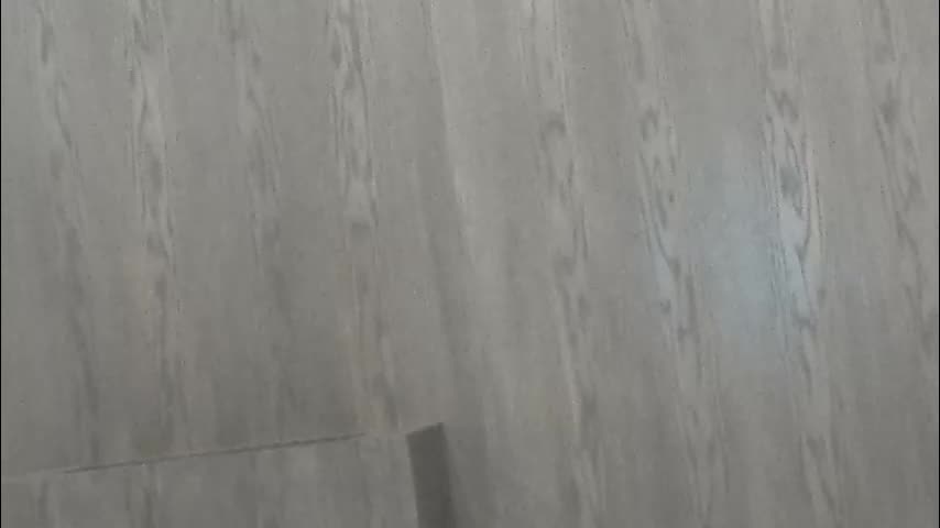 ehotlovea Adult Chat November 25, 2025