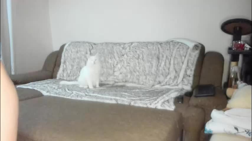 issabelle_69 Adult Chat November 25, 2025