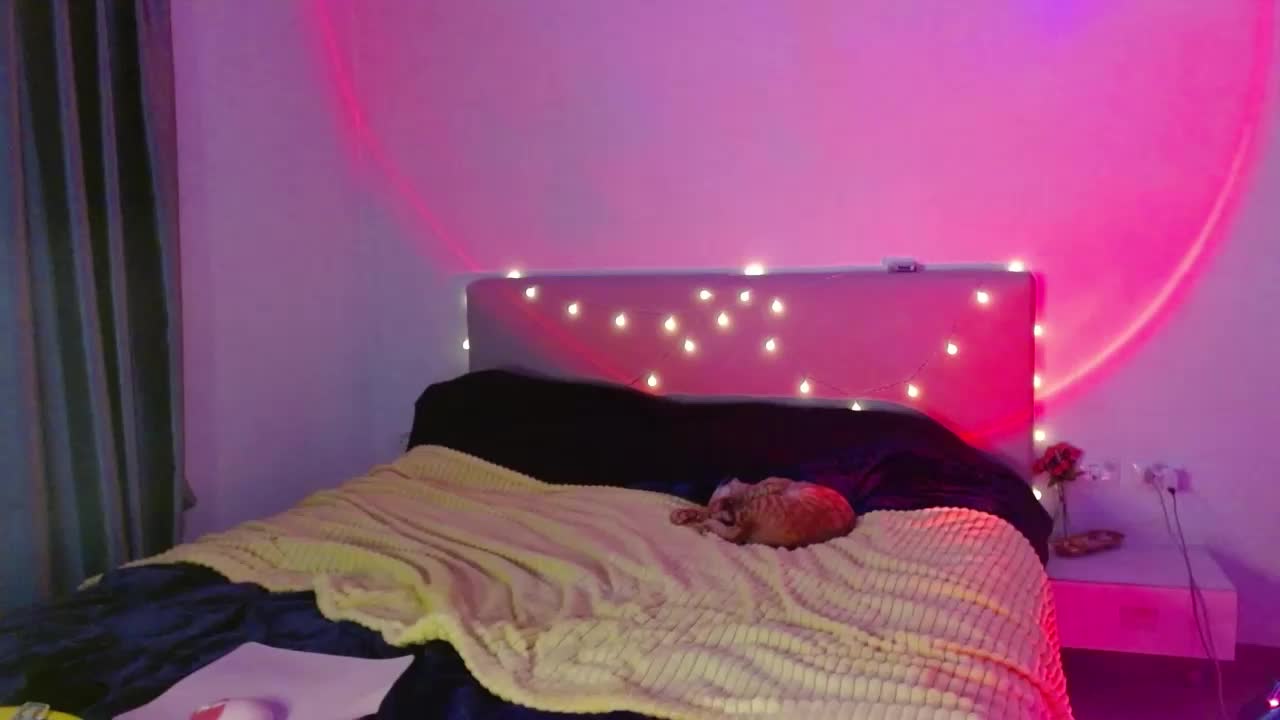 KattyCat Adult Chat November 26, 2025