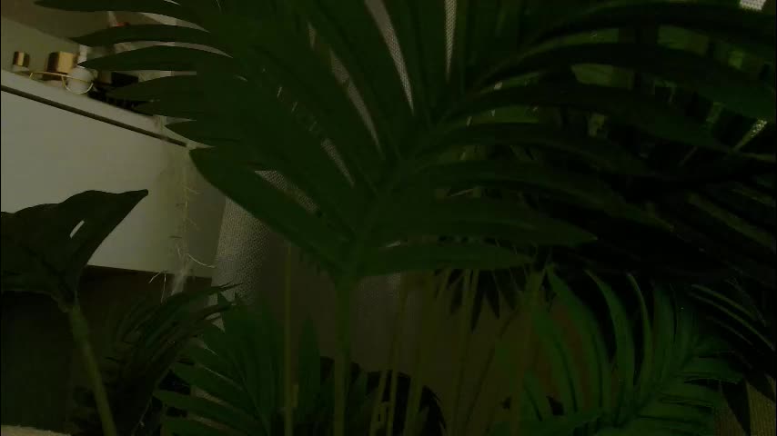 imcarrieberry Adult Chat November 26, 2025