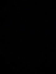 YuGoVi Adult Chat November 26, 2025