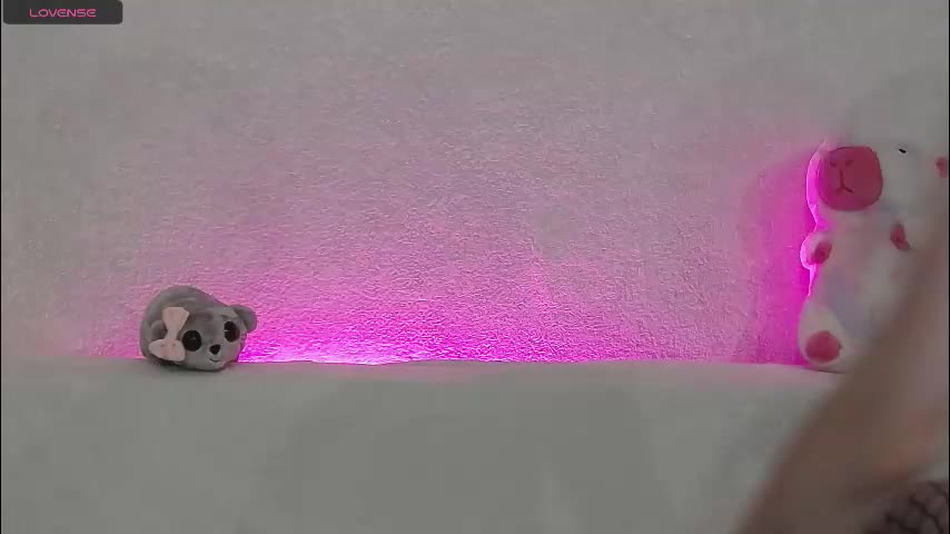 tayaavis Adult Chat November 26, 2025