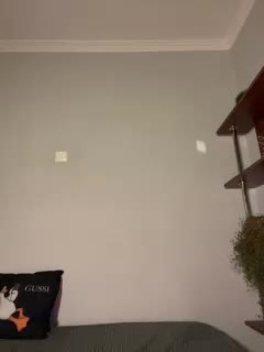 Saliss1 Adult Chat November 25, 2025