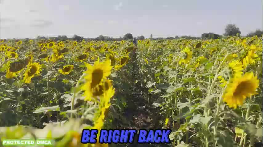 sunflower0907 Adult Chat November 26, 2025