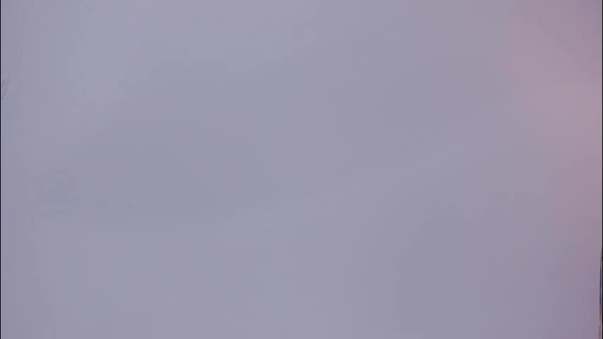 bush_woman Adult Chat November 26, 2025