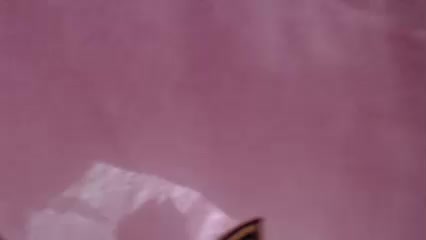 Veta-Viola Adult Chat November 26, 2025