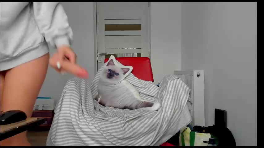 you_love_melisa Adult Chat November 27, 2025