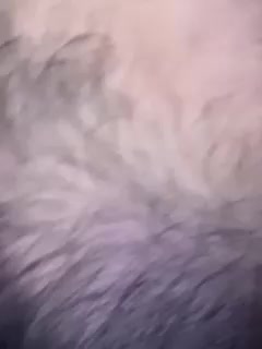 OhHoney Adult Chat November 27, 2025