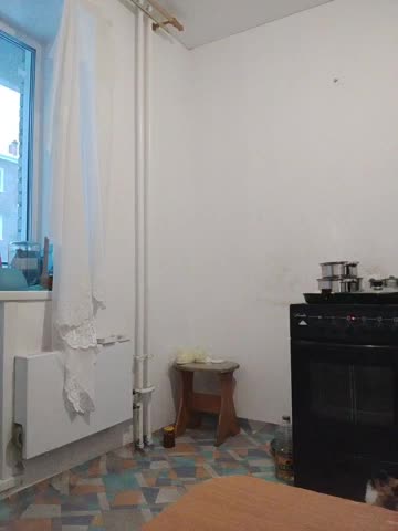 Xo4y-SeXa Adult Chat November 26, 2025