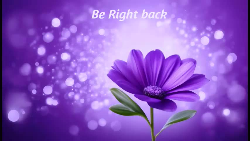 mylegsonheels Adult Chat November 27, 2025