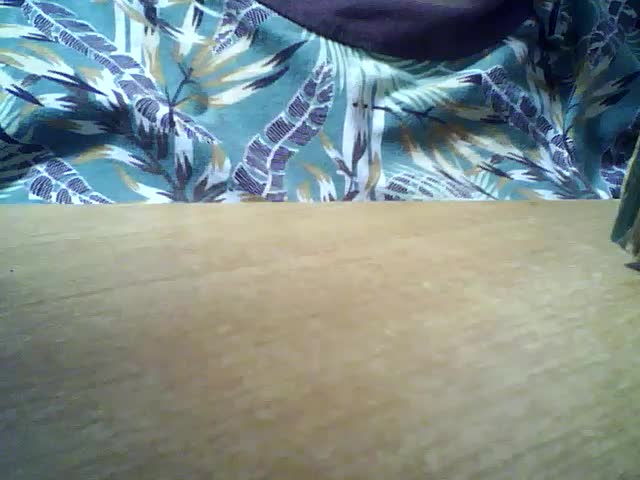 SEKSI-44 Adult Chat November 26, 2025