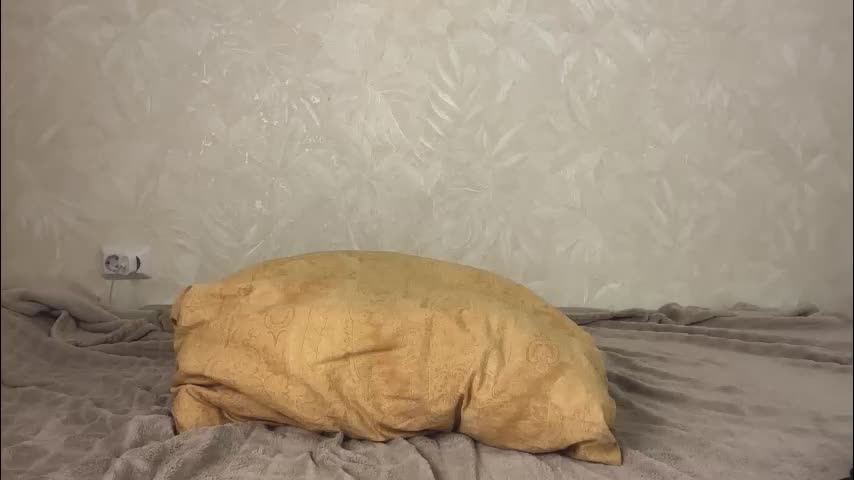 fflloowweerr Adult Chat November 26, 2025