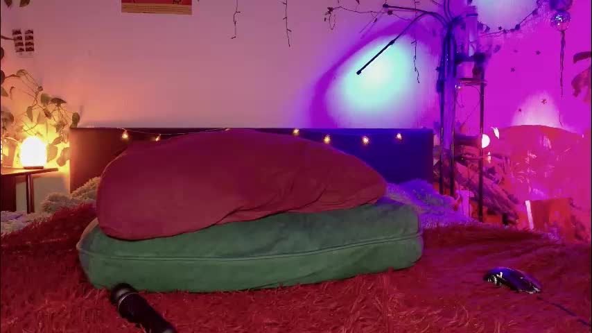 olivecum Adult Chat November 27, 2025