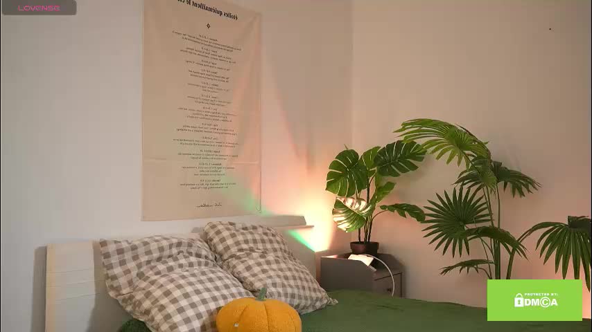 swtty_meivi Adult Chat November 27, 2025