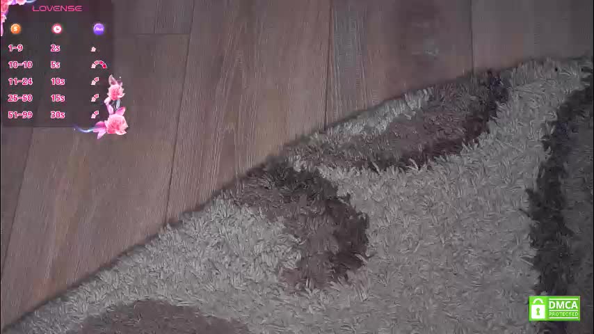 phyllisearney Adult Chat November 27, 2025