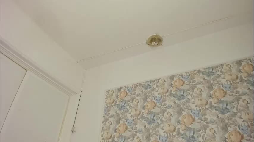 illegal_lorry Adult Chat November 27, 2025