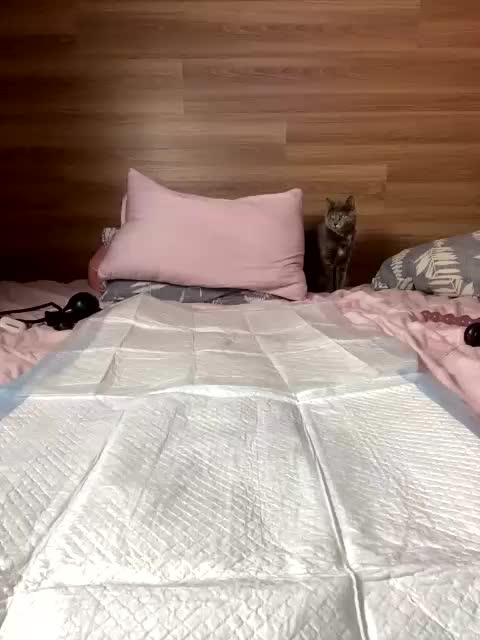 ALISA_PRO_MAX Adult Chat November 27, 2025