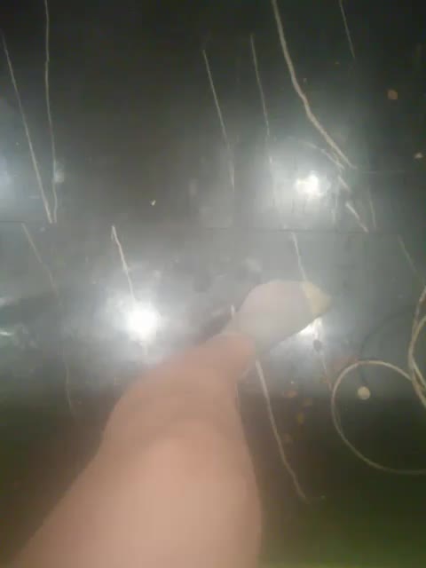 TilyTily Adult Chat November 27, 2025