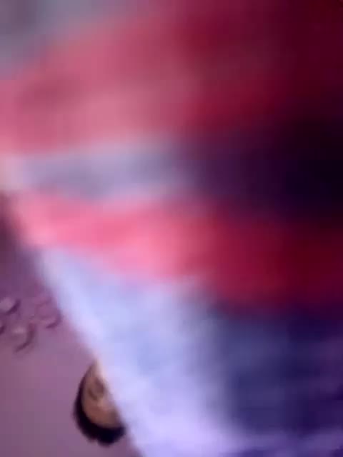 VIP17CoupleDream Adult Chat November 27, 2025