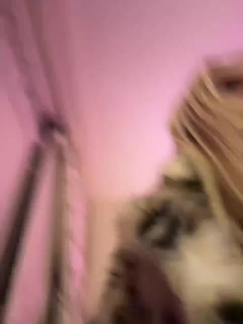 Tvoyasamka77 Adult Chat November 27, 2025