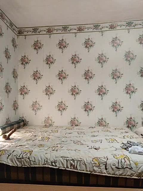 Alisa-33 Adult Chat November 28, 2025