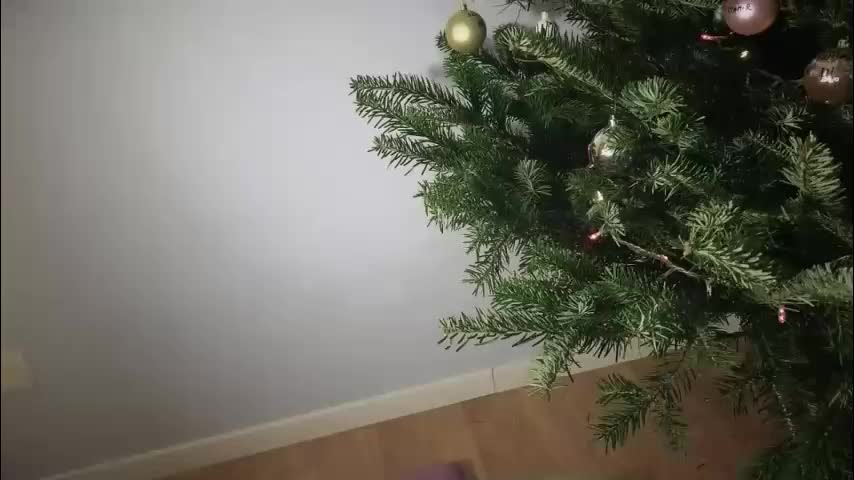 purplerainn69 Adult Chat November 28, 2025