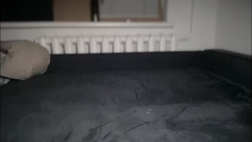 rosea_champagne Adult Chat November 28, 2025