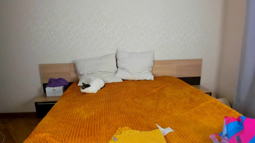 Cowell_Adelina Adult Chat November 29, 2025