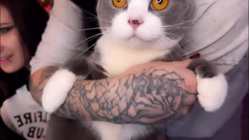 ripper_66 Adult Chat November 29, 2025