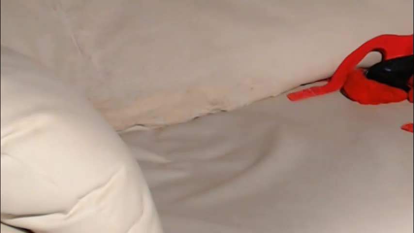 messyholesfuck Adult Chat November 29, 2025