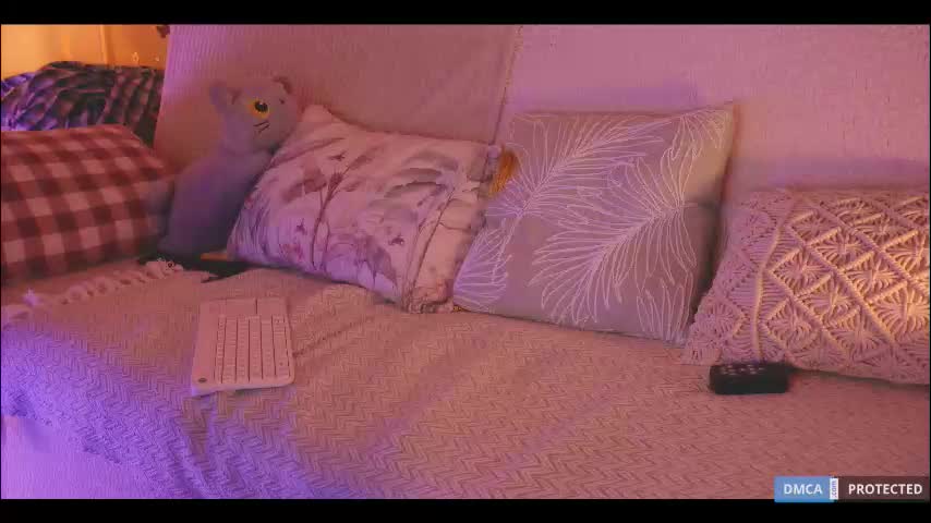 softlee Adult Chat November 29, 2025